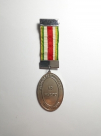 MEDALHA AO MÉRITO DO MUNICÍPIO DE FLORIANÓPOLIS