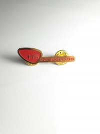 BROCHE HS CONSÓRCIOS