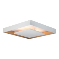 PLAFON NEW PICTURE LED (NEW LINE)